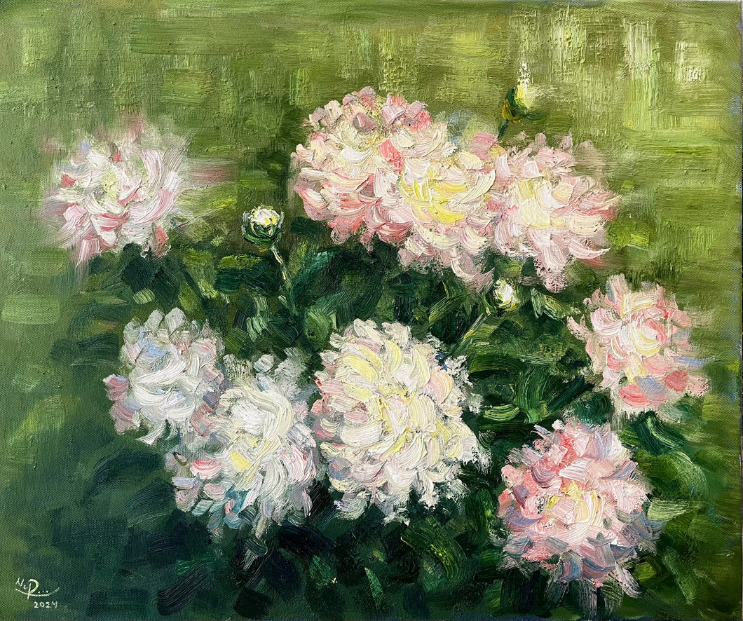 Flowers peonies.  2024