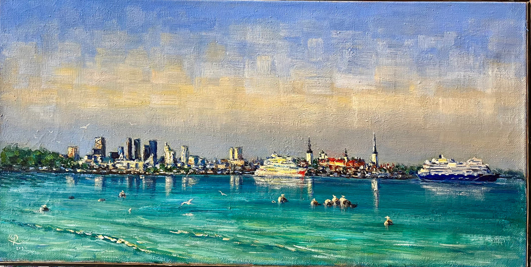 Panorama Tallinn.  2024